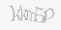 Защитный код